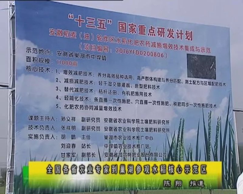 巢湖减肥训练
